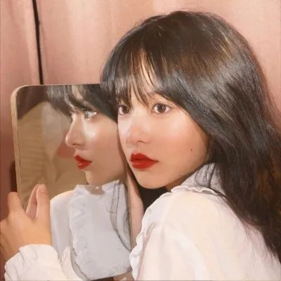 树木之城