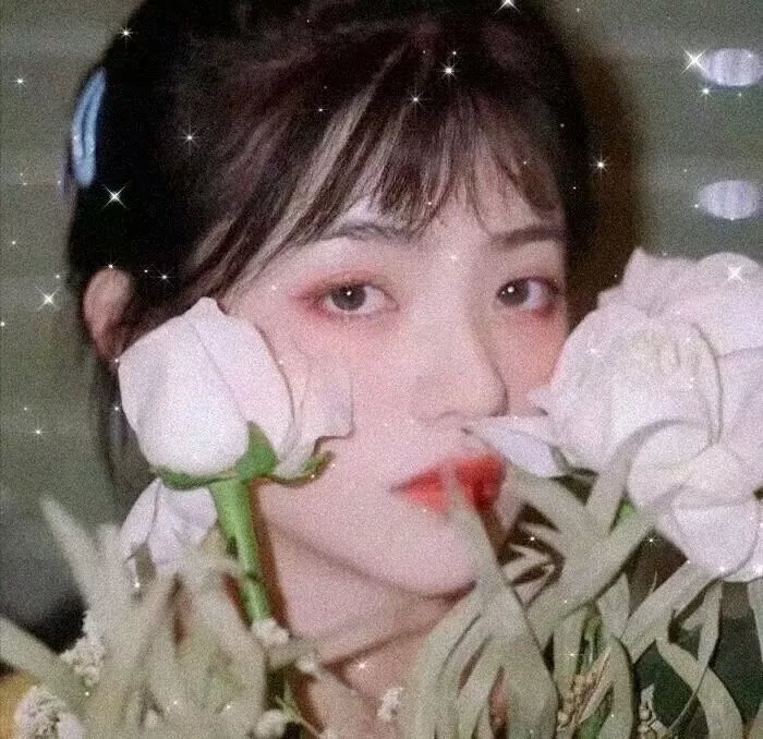巡梦行者