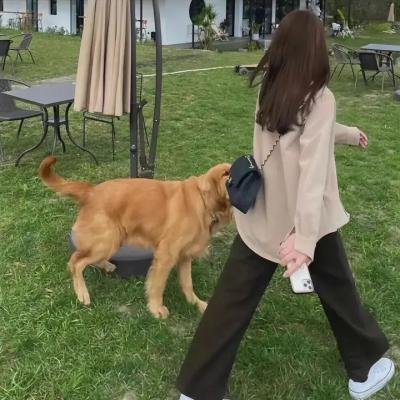 东非的飞行医生们